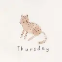 Detalle-Thursday-Pack-siete-bodies-algodón-manga-corta-diseño-animales-12M-Cartars.webp