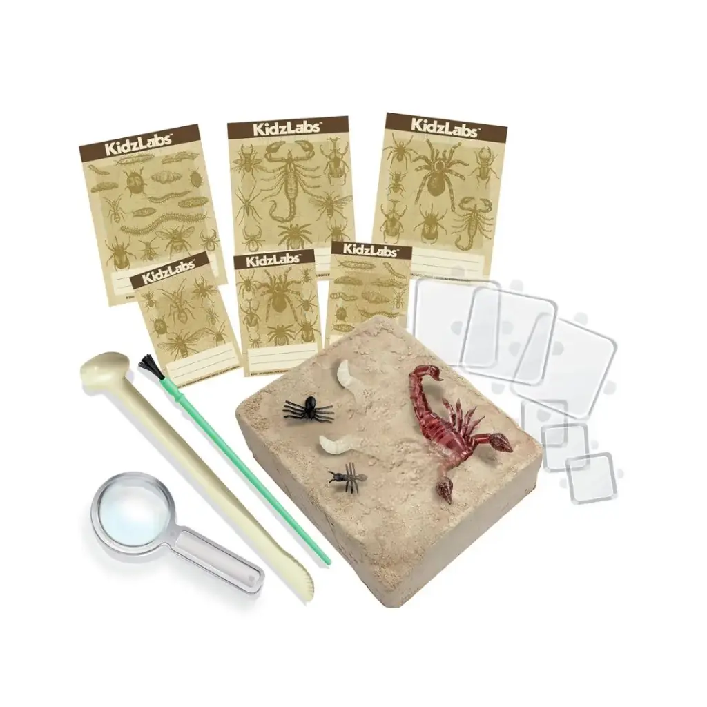 Y303397-KidzLabs-Excavación-De-Insectos-4M-Jugueteria-Mukkies-a.webp