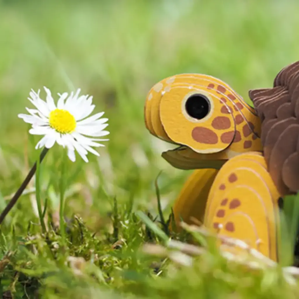 DOEU-TTS-Puzzle-3D-Tortuga-Terrestre-Eugy-Dodoland-Jugueteria-Mukkies-c.webp