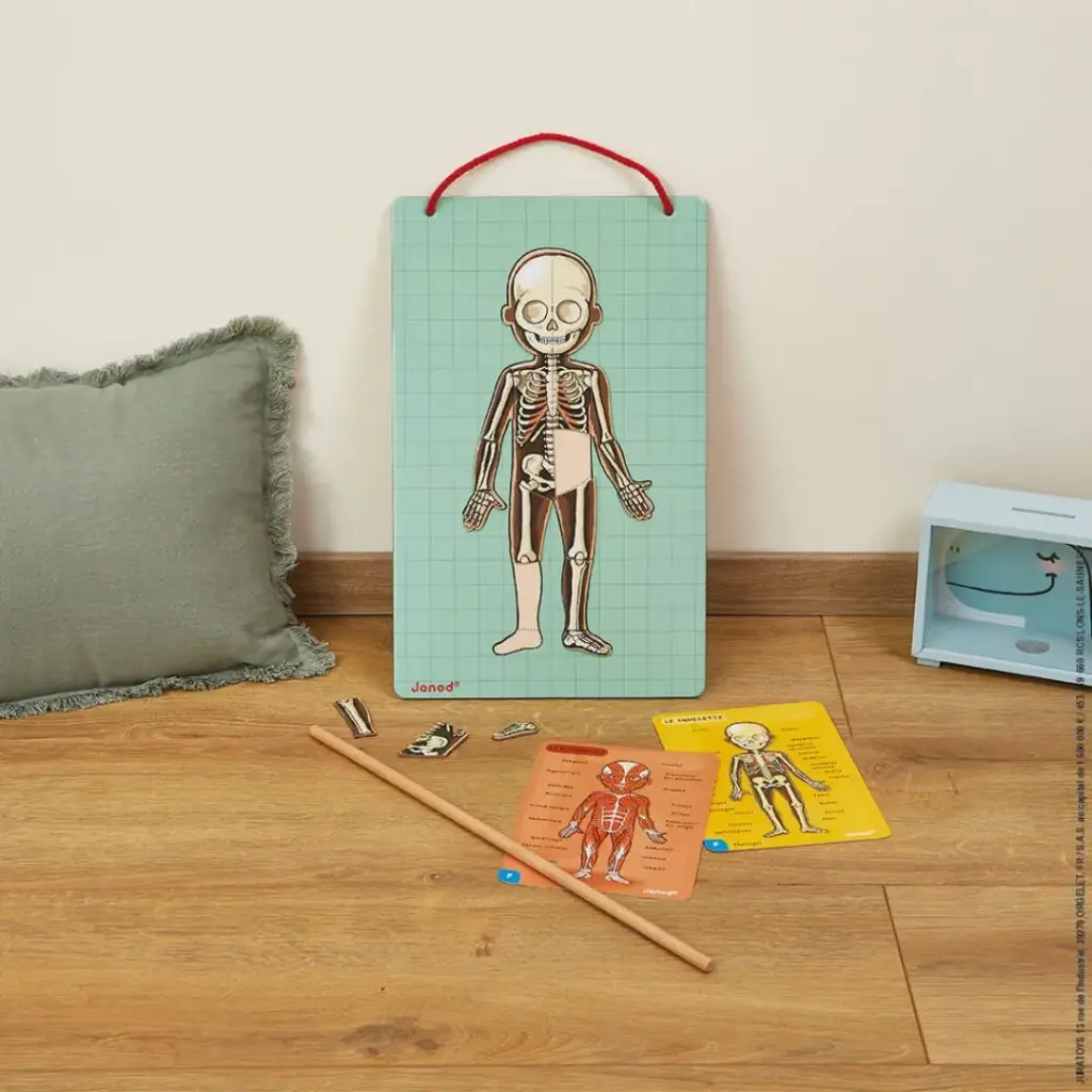 J05491-Juego-Educativo-Bodymagnet-Janod-Jugueteria-Mukkies-d.webp
