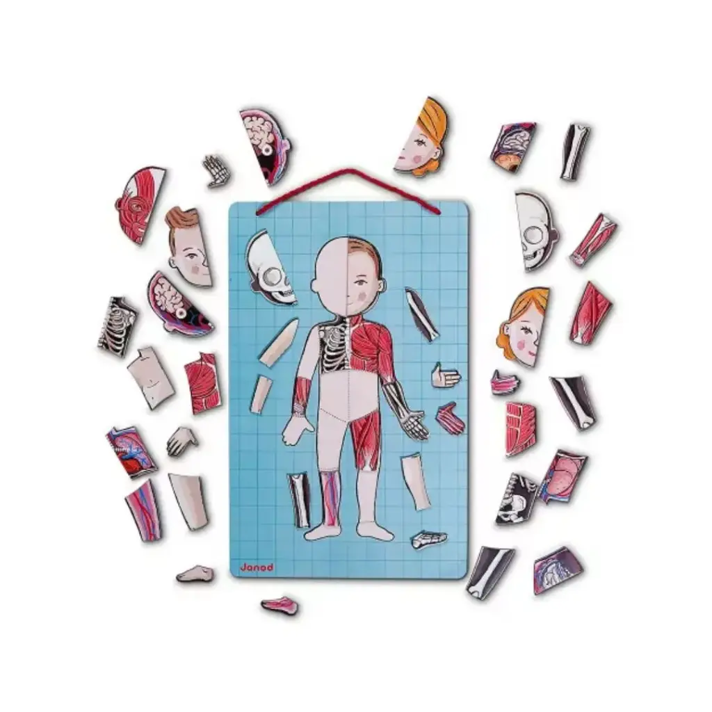 J05491-Juego-Educativo-Bodymagnet-Janod-Jugueteria-Mukkies-b.webp