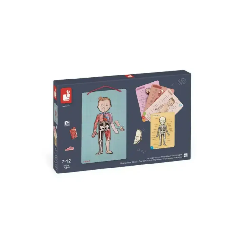 J05491-Juego-Educativo-Bodymagnet-Janod-Jugueteria-Mukkies.webp