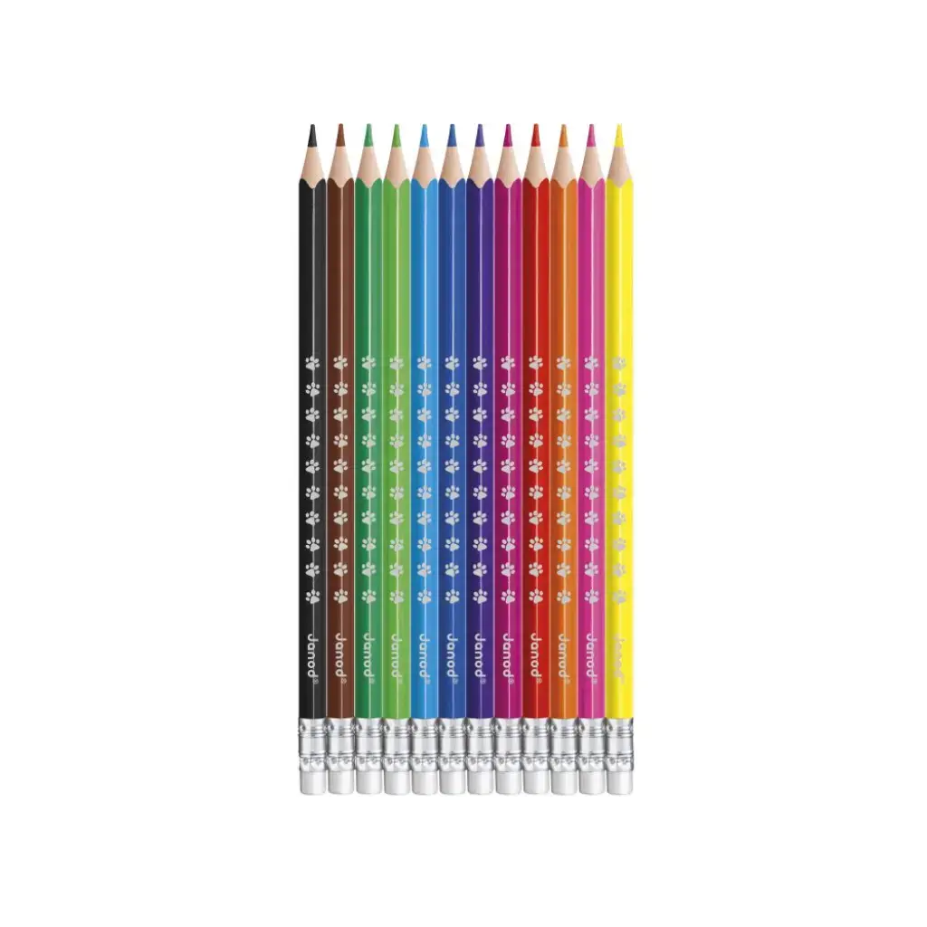 Detalle-lapices-borrables-12-unidades.webp