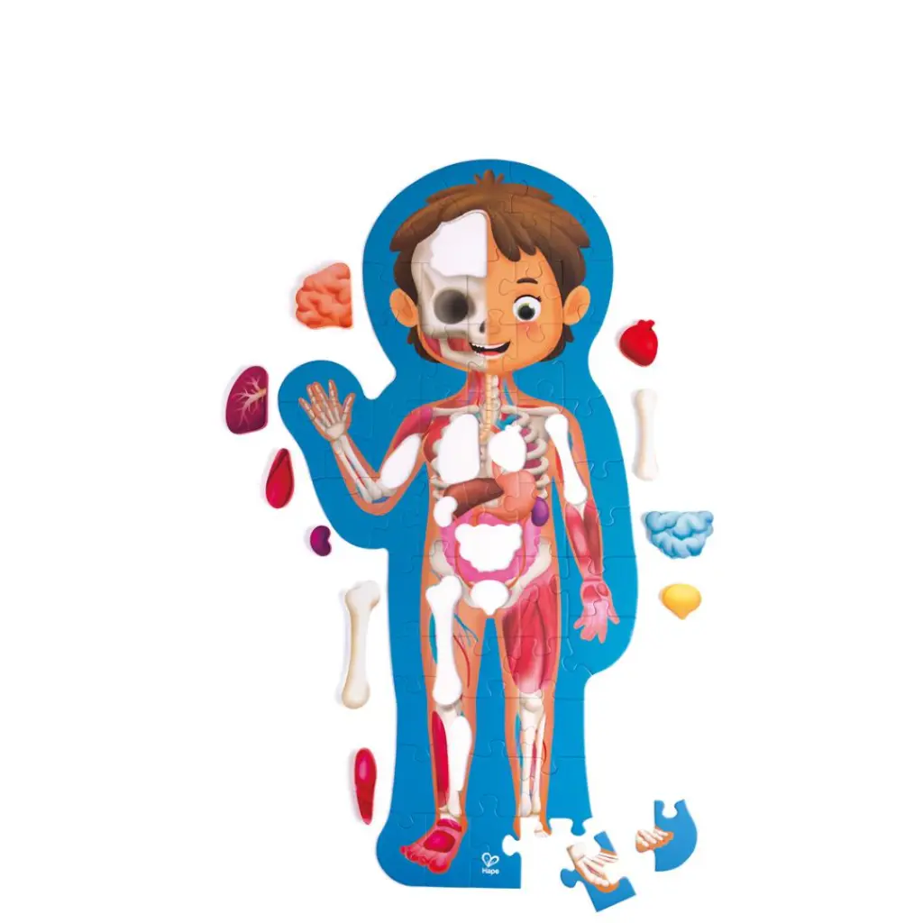 E1635-Puzzle-Cuerpo-Humano-1M-Hape-Canarias.webp