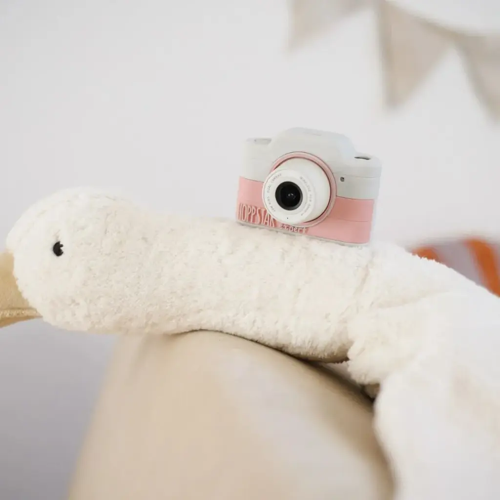 76894-cámara-de-foto-expert-blush-hoppstar-jugueteria-mukkies-a-b.webp