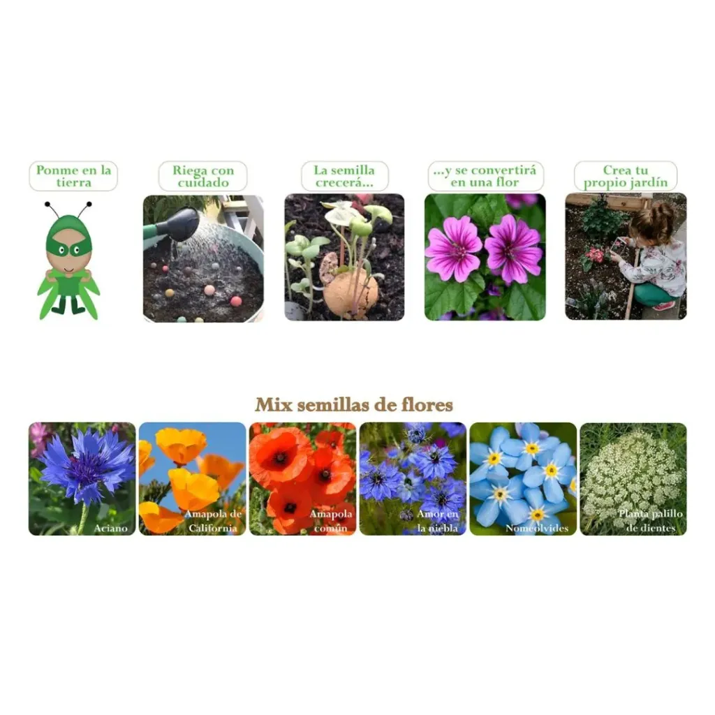 GW-B21206C-Semillas-Flores-Green-Warrior-Jugueteria-Mukkies-b.webp