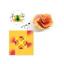 Pasos-origami-trópicos-djeco-jugueterias-en-Lanzarote.webp