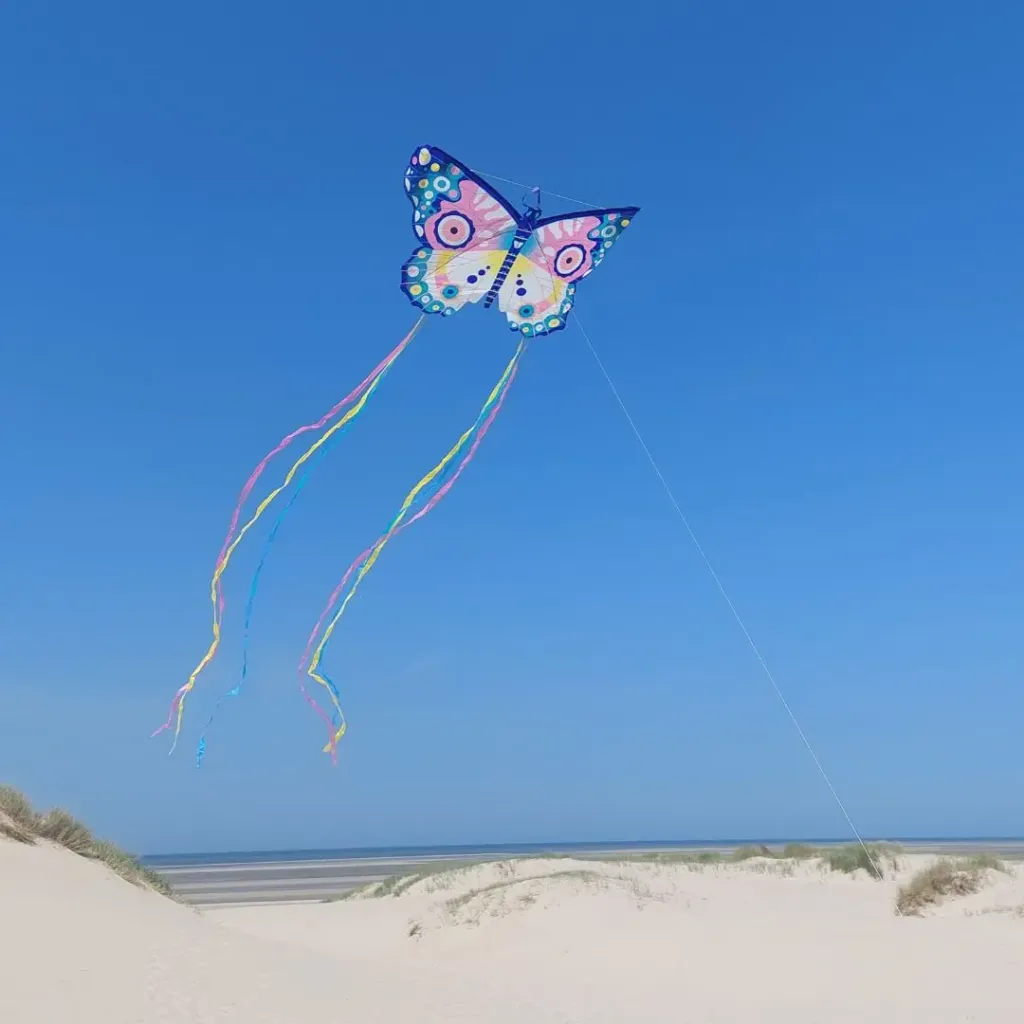 Cometa Maxi Butterfly volando-Djeco-Jugueteria Mukkies-Canarias.webp
