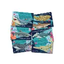 Tarjetas con información  Molde y Pinta Tiburones que Brillan en la Oscuridad-4M-Jugueterias en Lanzarote.webp