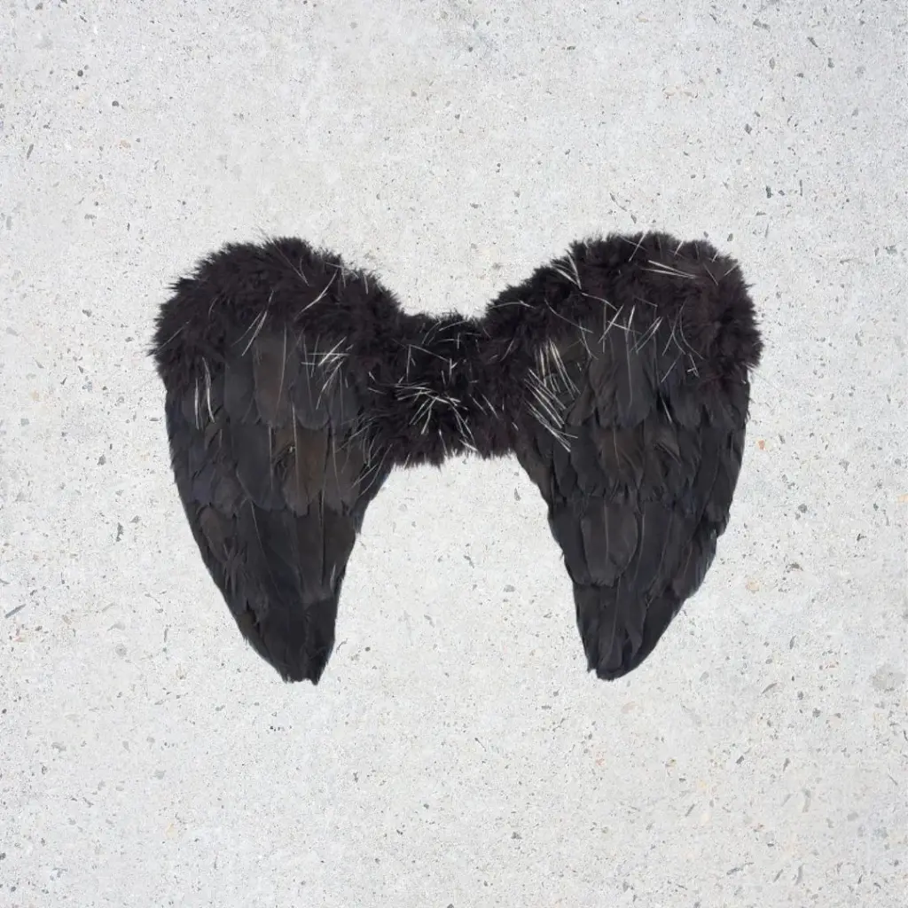 [106484] Disfraz - Nyx Alas negras