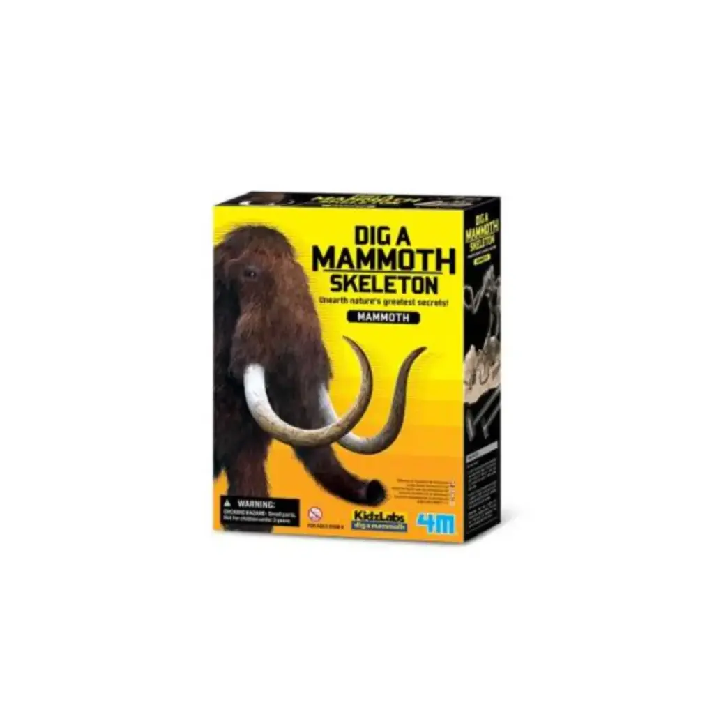 [Y303236] Kit Geológico - Mamut