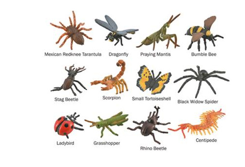 [C901A1106-C] Box Insectos y Arañas Mini