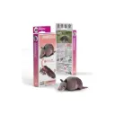 Eugy Armadillo 3D