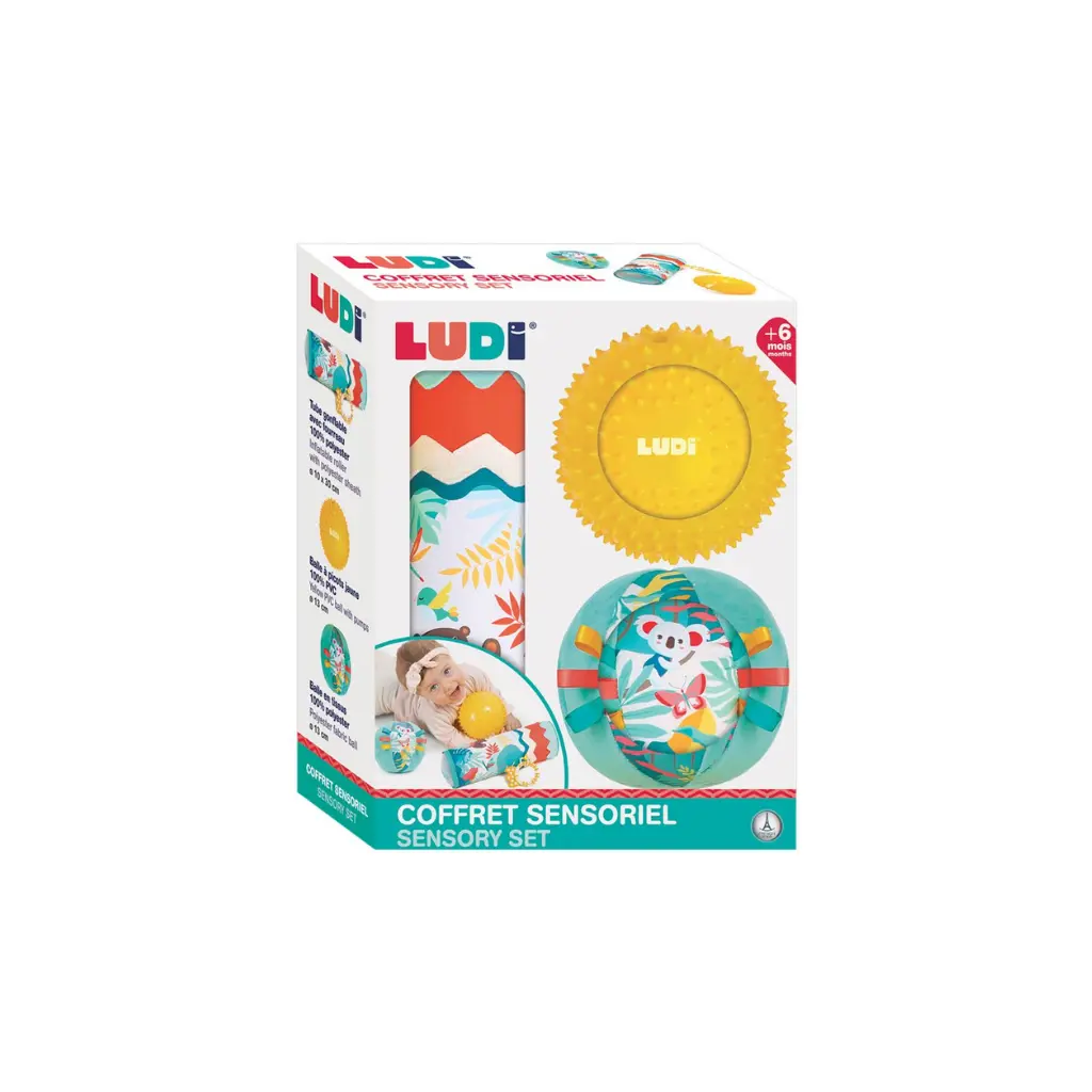 [130076] Conjunto roller y pelotas
