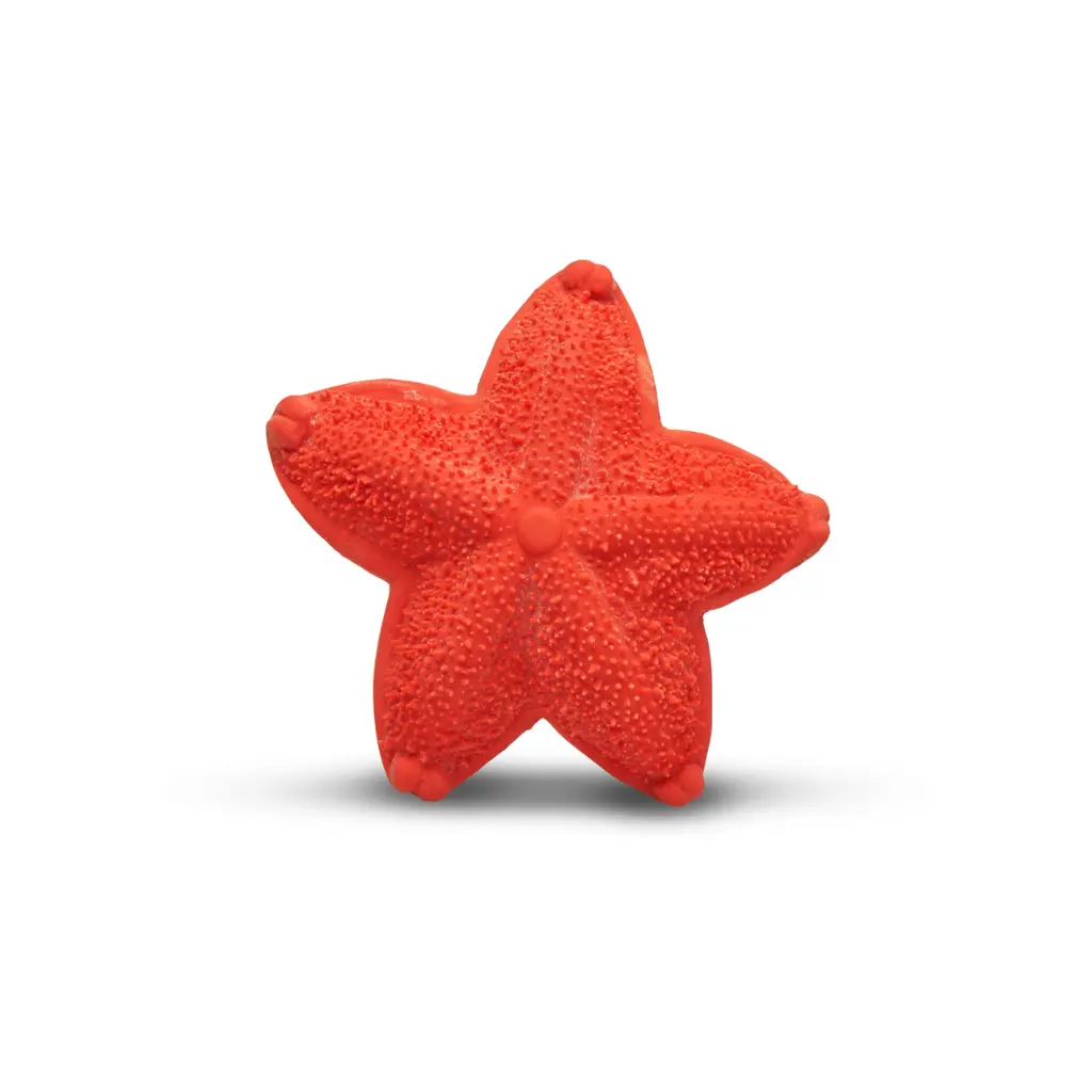 [L90422] Asteroidea Lanco