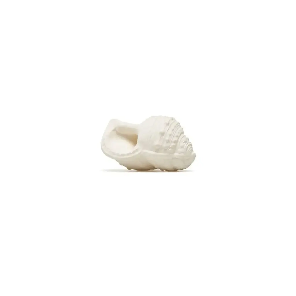 [L90451] Caracola Lanco
