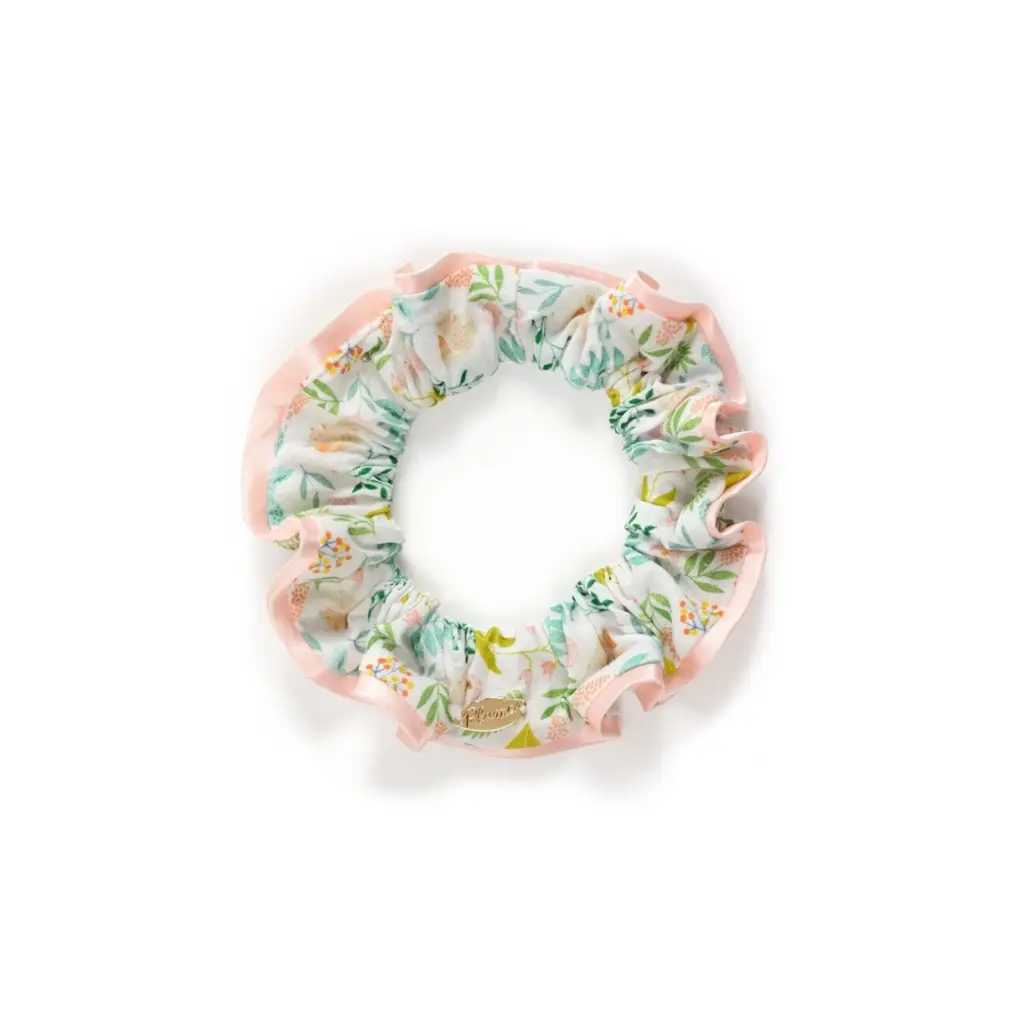  Plume Coletero Capucine