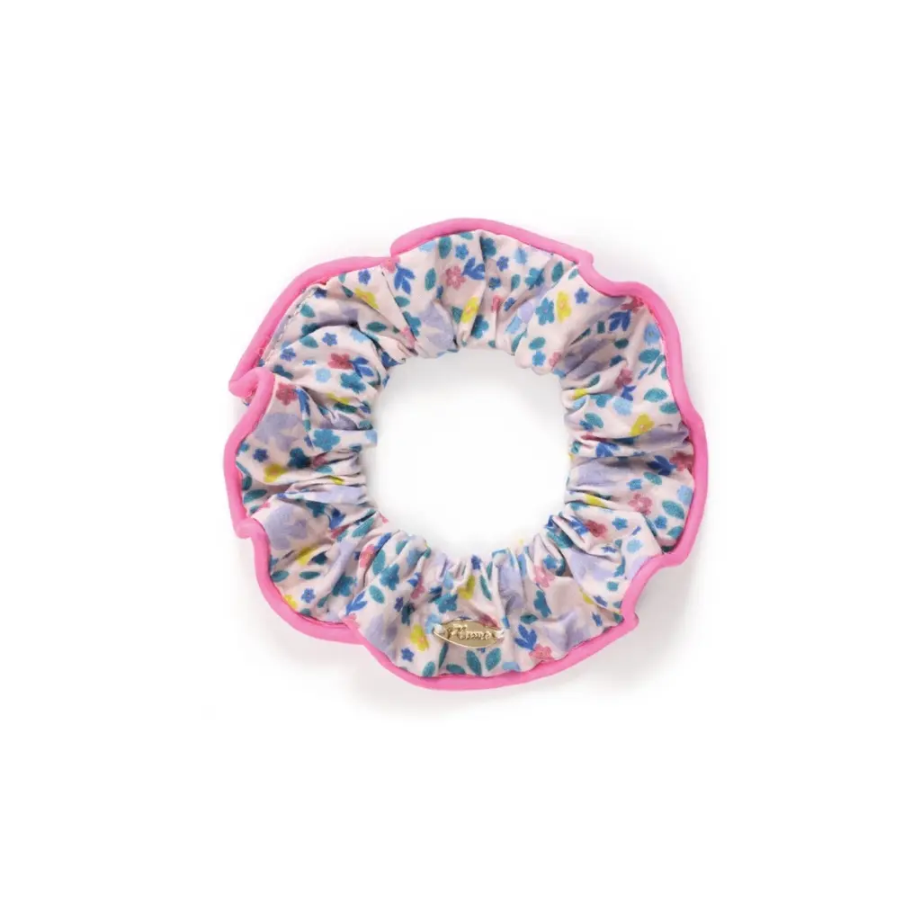 [55807] Plume Coletero Angela