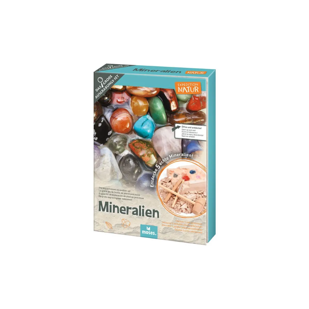 Set excavación Minerales